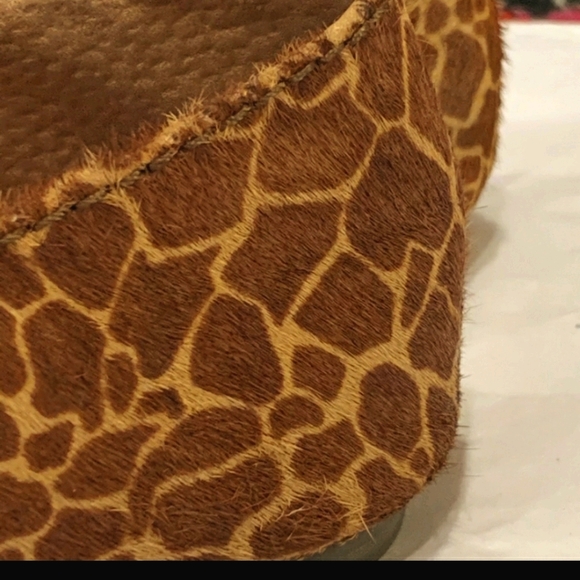 FOSSIL  FLATS! - Picture 4 of 6